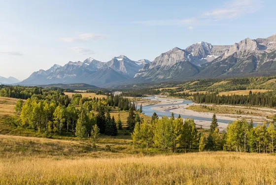 Foothill grassland above a braided river, mountains behind